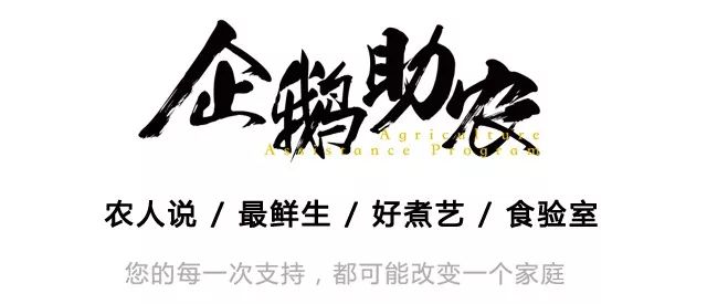 大粵網(wǎng)新聞，引領(lǐng)廣東新聞潮流，傳遞時(shí)代聲音，大粵網(wǎng)新聞，引領(lǐng)廣東潮流，傳遞時(shí)代聲音的力量