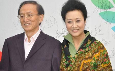 王麗云個(gè)人資料簡(jiǎn)介及其老公，演藝界的璀璨明星與背后的幸福故事，王麗云與老公的星光之路，演藝界的璀璨明星背后的幸福故事簡(jiǎn)介