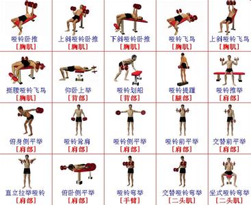 啞鈴鍛煉方法視頻教程，全面指導(dǎo)你的健身之路，啞鈴鍛煉全方位指南，視頻教程助你開啟健身之旅