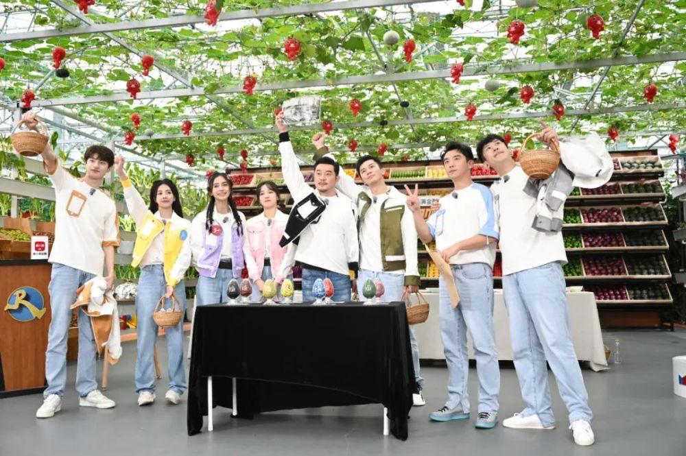 李晨畢業(yè)大學(xué)的探索之旅，李晨的大學(xué)探索之旅