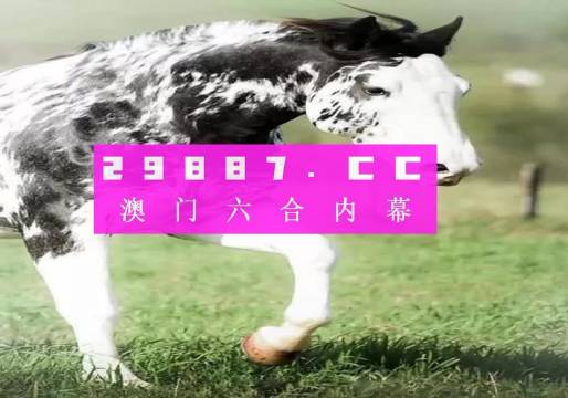 香港內(nèi)部最準的一肖一碼，探尋背后的真相與理性看待，香港內(nèi)部最準的一肖一碼，揭秘真相與理性解讀