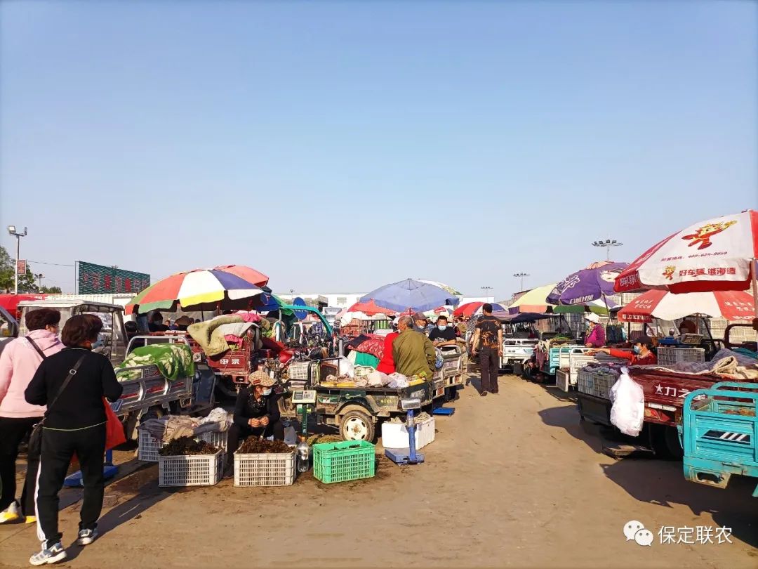 保定趕集網(wǎng)，連接城鄉(xiāng)的橋梁與機(jī)遇的平臺(tái)，保定趕集網(wǎng)，城鄉(xiāng)橋梁與機(jī)遇平臺(tái)