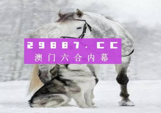 新奧門一肖一馬必中的奧秘與探索，新奧門一肖一馬必中的奧秘揭秘與探索