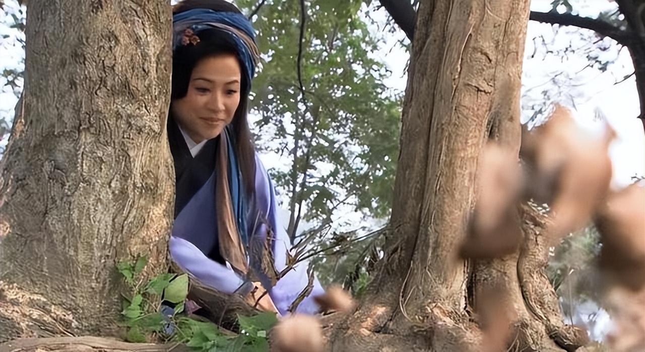 薛平貴與王寶釧演員表及角色深度解析，薛平貴與王寶釧，演員陣容及角色深度剖析