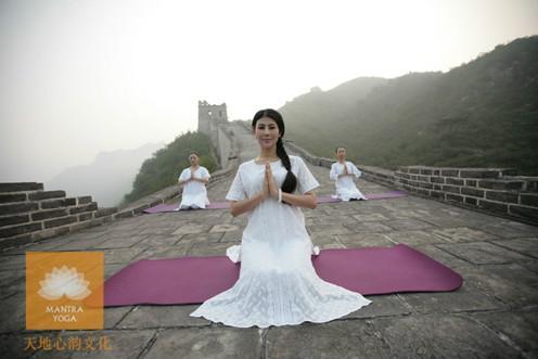 王媛瑜伽課程深度體驗(yàn)與評估，王媛瑜伽課程深度體驗(yàn)，全方位評估與反饋