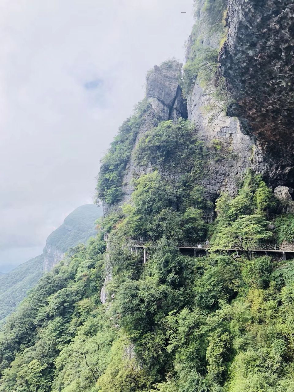 重慶金佛山風(fēng)景區(qū)的自然魅力與人文底蘊，重慶金佛山風(fēng)景區(qū)的自然人文魅力探秘