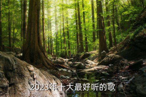 探索2023年十大最好聽的歌曲——音樂的魅力與情感的共鳴，2023年十大最好聽的歌曲，音樂魅力與情感共鳴的探索