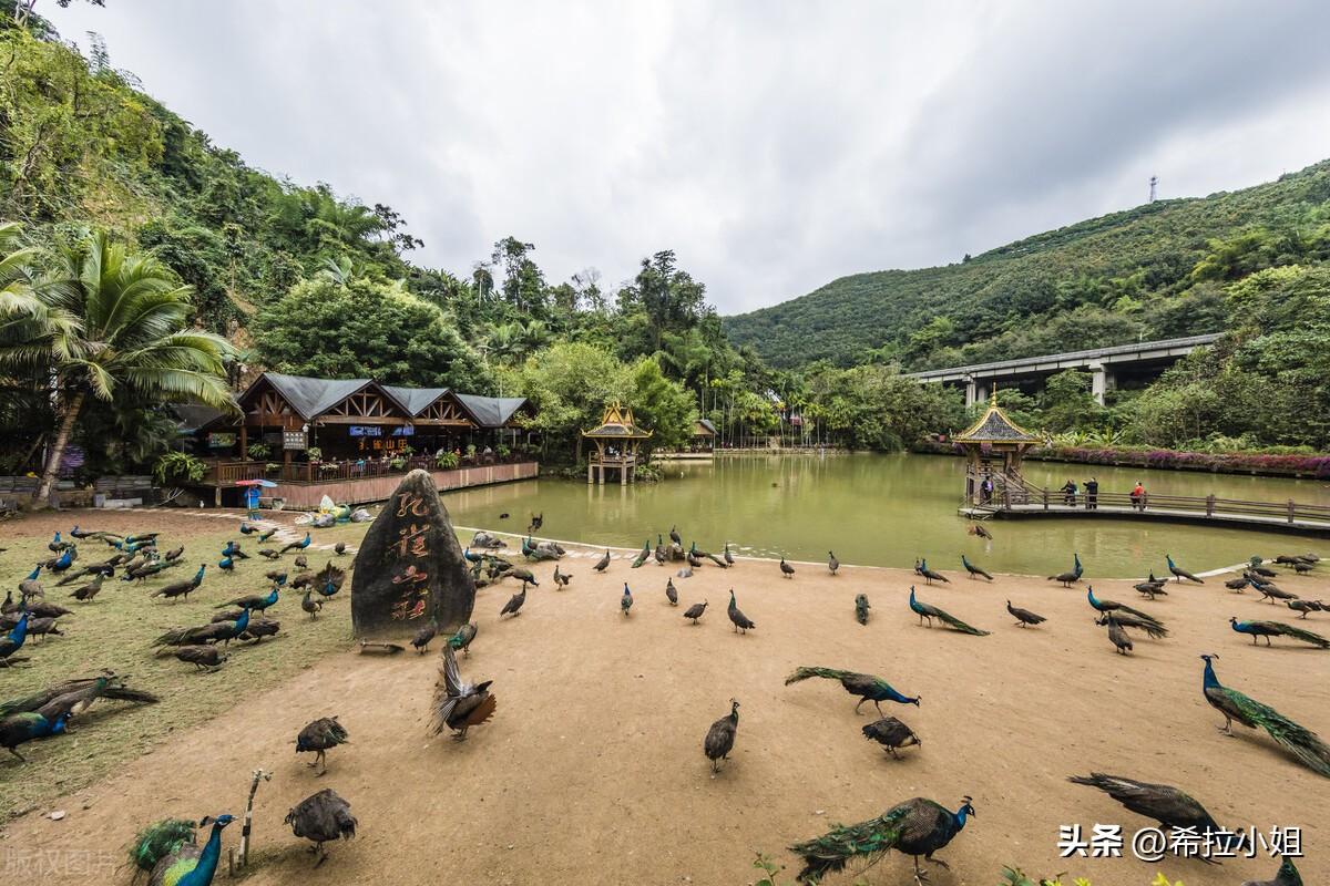 西雙版納旅游必去景點(diǎn)介紹，西雙版納必游景點(diǎn)攻略大全