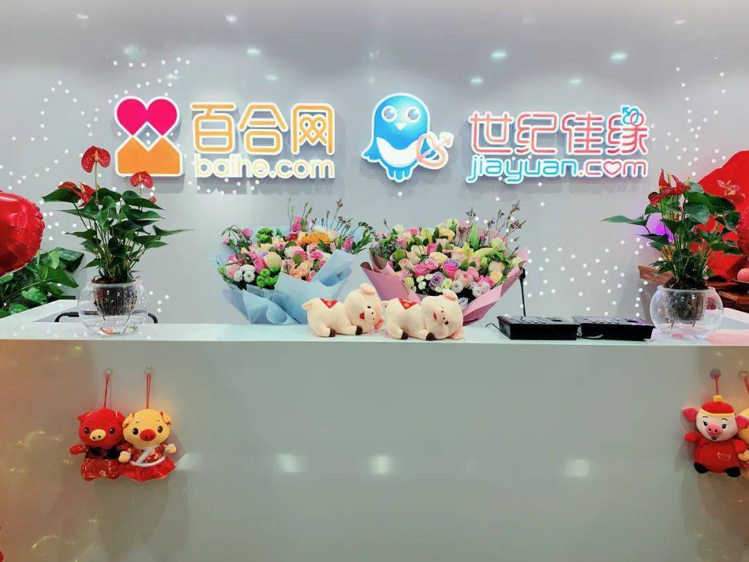 百合網(wǎng)與世紀(jì)佳緣，在線婚戀市場(chǎng)的雙璧人，在線婚戀市場(chǎng)巨頭對(duì)決，百合網(wǎng)與世紀(jì)佳緣的雙璧交鋒