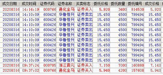 華魯恒生股票股吧——深度解析與前瞻，華魯恒生股票深度解析與前瞻——股吧熱議話題