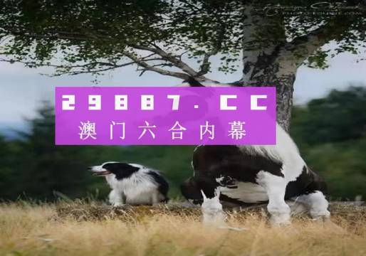 澳門彩票的未來展望，2025年開獎(jiǎng)結(jié)果探析，澳門彩票未來展望，2025年開獎(jiǎng)結(jié)果探析與預(yù)測(cè)