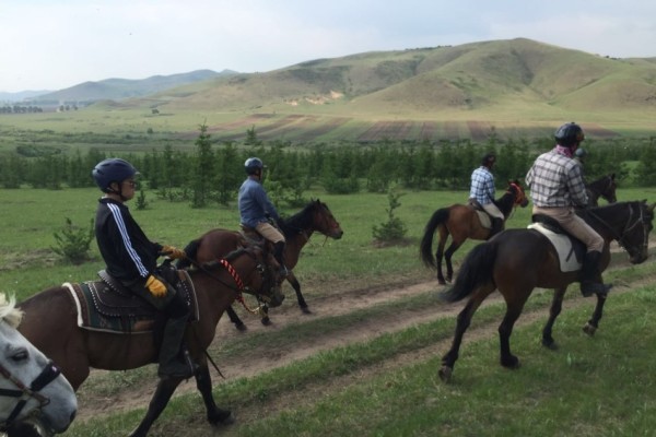 澳門特馬最快開獎結(jié)果，探索與解析，澳門特馬最新開獎結(jié)果解析與探索