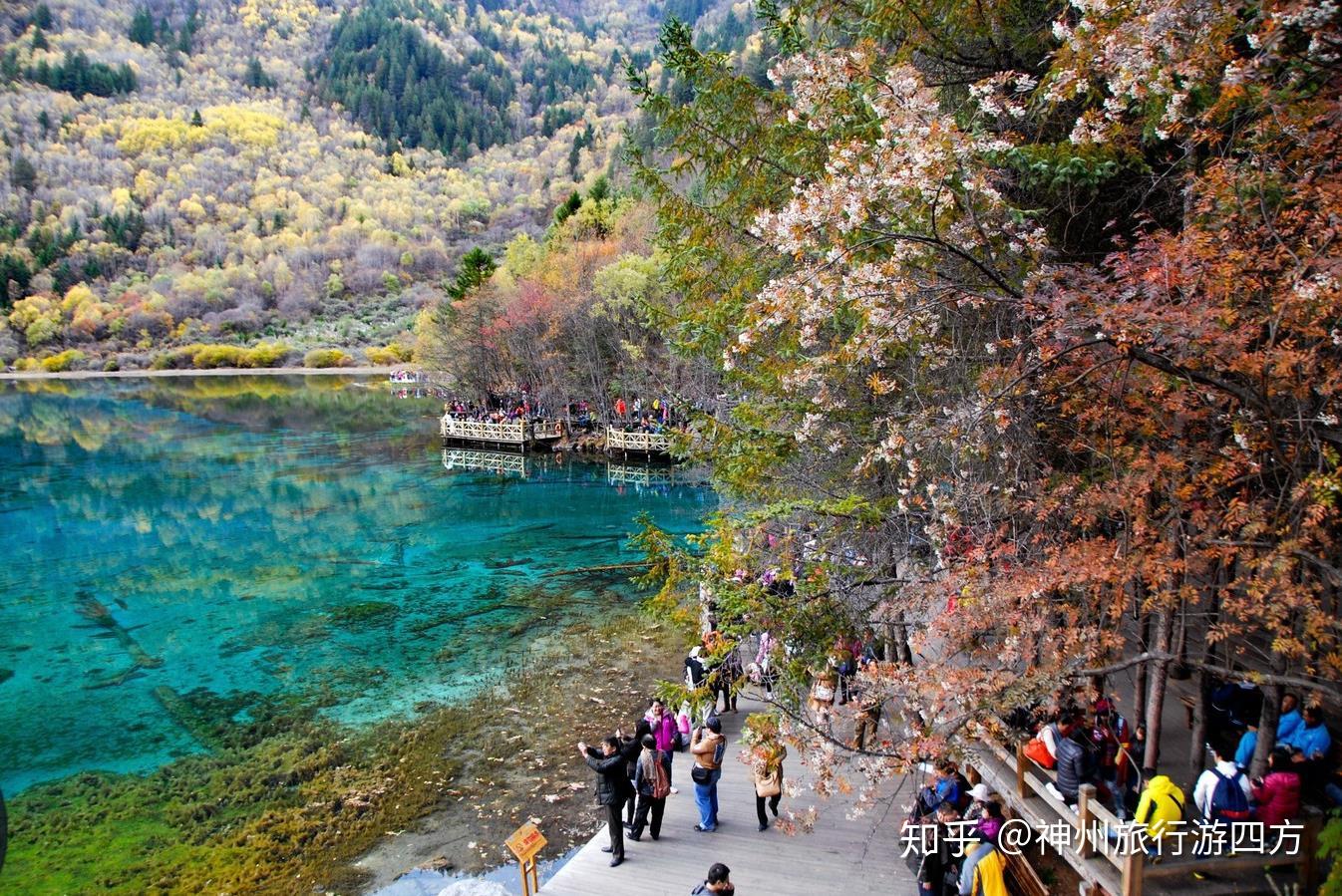 揭秘九寨溝旅游費(fèi)用，去九寨溝旅游需要多少錢？，揭秘九寨溝旅游費(fèi)用，預(yù)算多少才能暢游九寨溝？