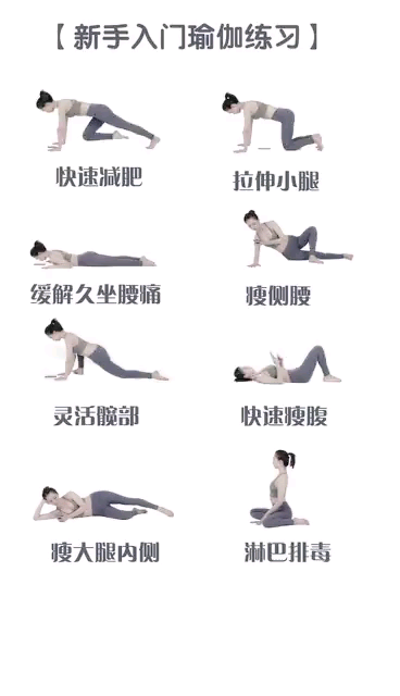 瑜伽入門(mén)，基本動(dòng)作詳解及圖片指導(dǎo)，瑜伽入門(mén)指南，基本動(dòng)作詳解與圖片指導(dǎo)