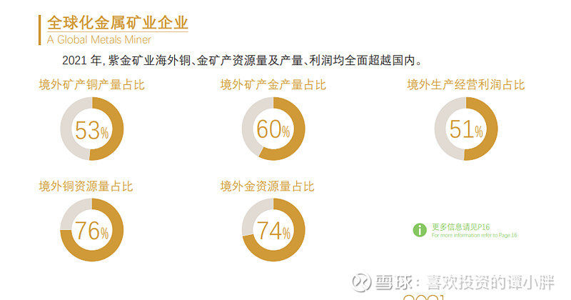 紫金礦業(yè)的未來潛力，探索其巨大的增長前景，紫金礦業(yè)增長前景展望，探索巨大潛力與未來展望