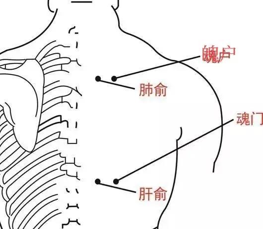 止咳化痰最快的方法，全面解析與實(shí)用指南，快速止咳化痰實(shí)用指南，全面解析與實(shí)用方法