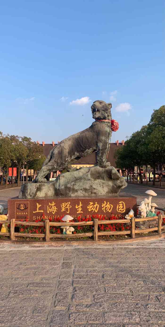 上海動(dòng)物園與上海野生動(dòng)物園，城市中的自然對(duì)決，上海城市中的自然對(duì)決，動(dòng)物園與野生動(dòng)物園的對(duì)比