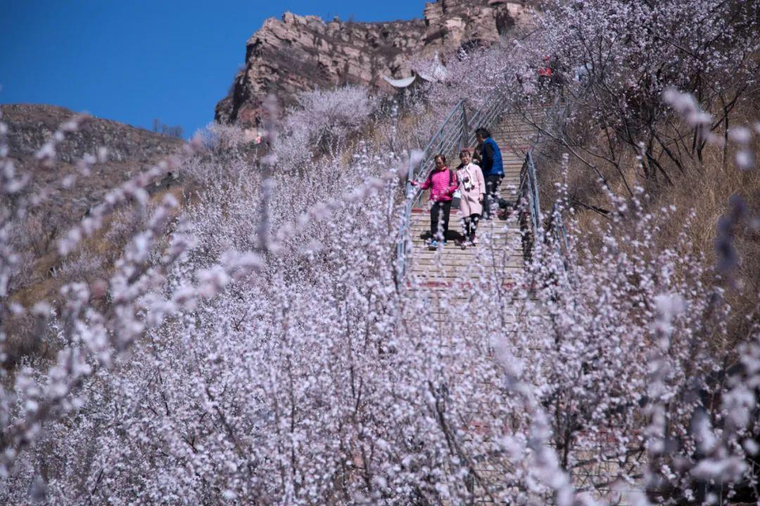 河北一日游景點大全，探索河北的美麗與魅力，河北一日游全攻略，探索河北的美麗與魅力景點