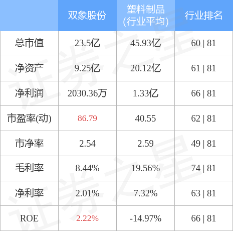 探究雙象股份股吧的獨(dú)特魅力與價(jià)值，一個(gè)深度分析，深度解析，雙象股份股吧的獨(dú)特魅力與價(jià)值探究