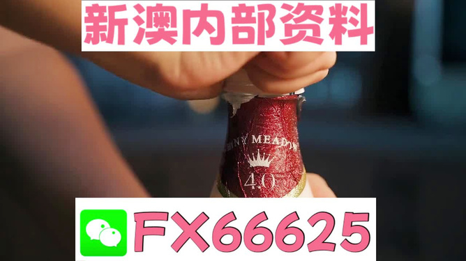 新澳門(mén)碼資料49圖庫(kù)，探索與解析，新澳門(mén)碼資料49圖庫(kù)，深度探索與解析