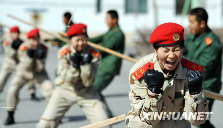 特警與武警，職責(zé)、能力與比較，特警與武警的職責(zé)、能力與比較分析
