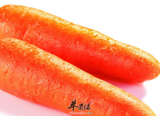 胡蘿卜，大自然的寶庫，揭示其強(qiáng)大的功效與作用，胡蘿卜，大自然的寶庫，揭示其驚人功效與作用
