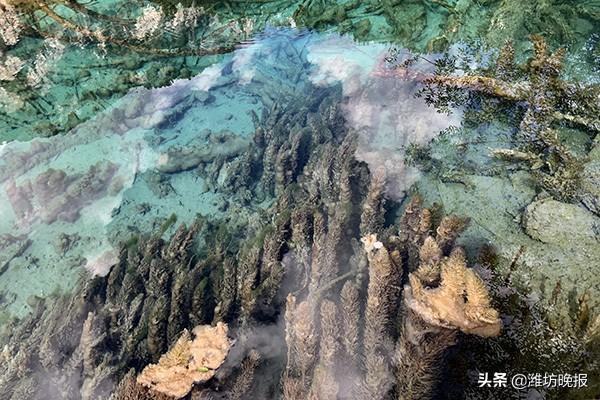 封閉式訓練營，探索價值與實踐體驗，封閉式訓練營，價值探索與實踐體驗之旅
