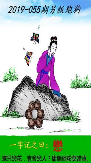 探索精準(zhǔn)跑狗圖，數(shù)字組合的魅力與跑狗圖的奧秘，精準(zhǔn)跑狗圖揭秘，數(shù)字組合的魅力和奧秘探索