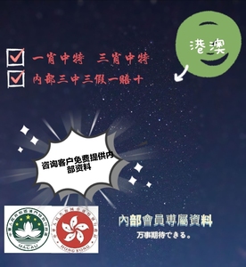 一碼三中三張總資料詳解，一碼三中三張總資料詳解概覽