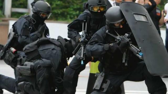 香港飛虎隊，守護安寧的英勇力量，香港飛虎隊，守護安寧的英勇衛(wèi)士