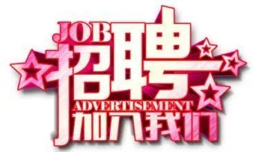 招聘私人男鴨，理解與探索背后的需求，探索需求背后的招聘私人男鴨現(xiàn)象