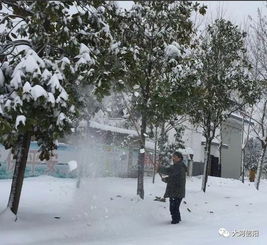 河南下雪最新情況今天，河南今日下雪最新情況簡(jiǎn)報(bào)