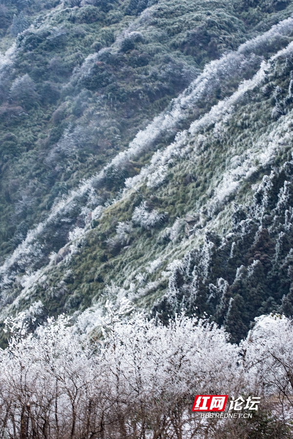 衡山天氣，多變與美麗的交響曲，衡山天氣，多變與美麗的自然交響曲