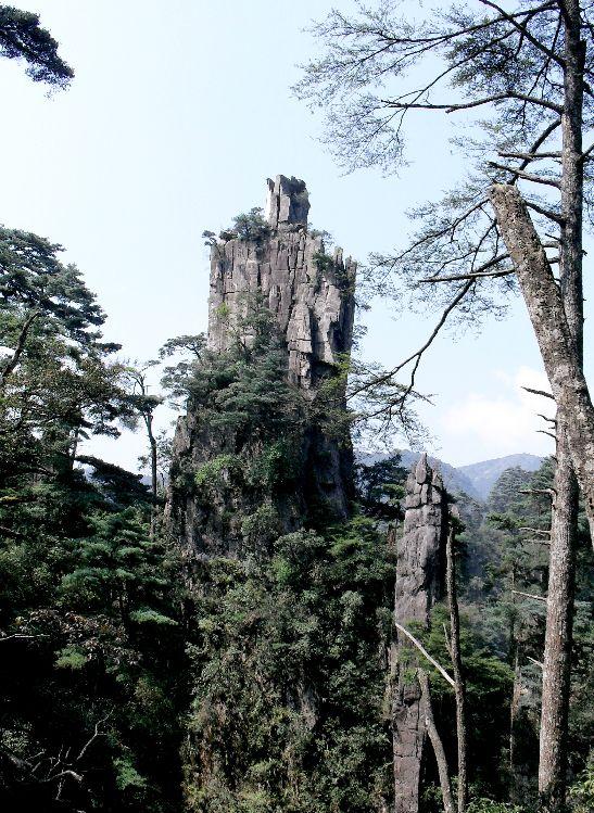 湖南莽山國家森林公園，自然之韻，人文之魂，湖南莽山國家森林公園，自然人文交相輝映的瑰寶
