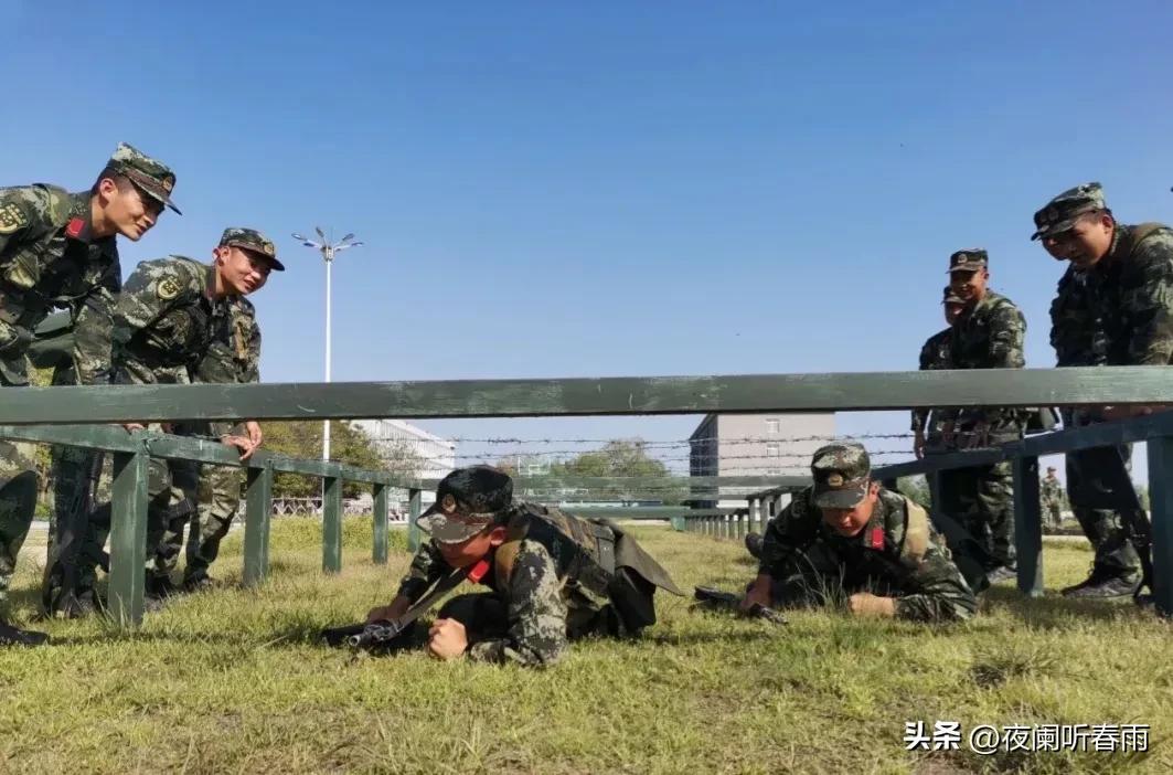 面對兒子堅決要退學(xué)，在軍校中的挑戰(zhàn)與應(yīng)對策略，兒子堅決要退學(xué)，軍校挑戰(zhàn)與應(yīng)對策略探討