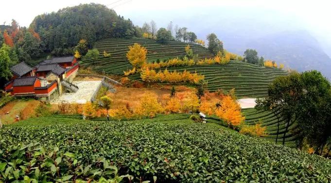 適合帶娃去的旅游景點(diǎn)，讓孩子在快樂(lè)中成長(zhǎng)，親子游必去景點(diǎn)，讓孩子在快樂(lè)中成長(zhǎng)的環(huán)境