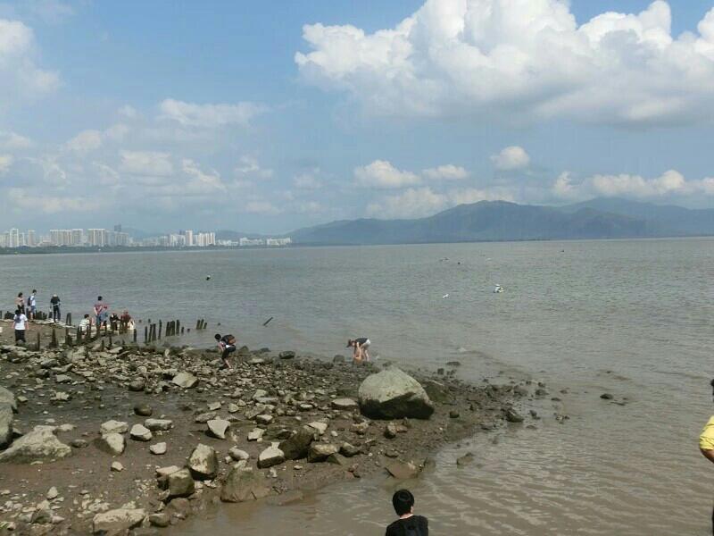 深圳紅樹林一日游攻略，深圳紅樹林一日游精彩攻略