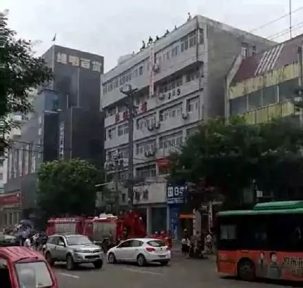 石家莊網(wǎng)友的力量，一個城市的聲音與共鳴，石家莊網(wǎng)友的力量，城市之聲與共鳴