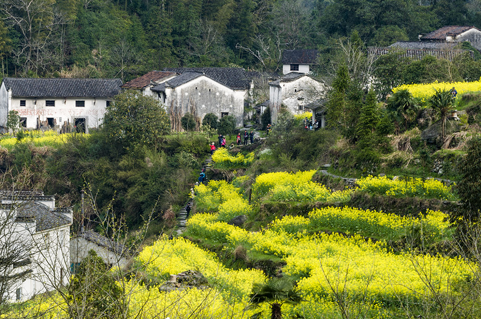 山村春情，一曲自然與生命的和諧贊歌，山村春情，自然與生命的和諧頌歌