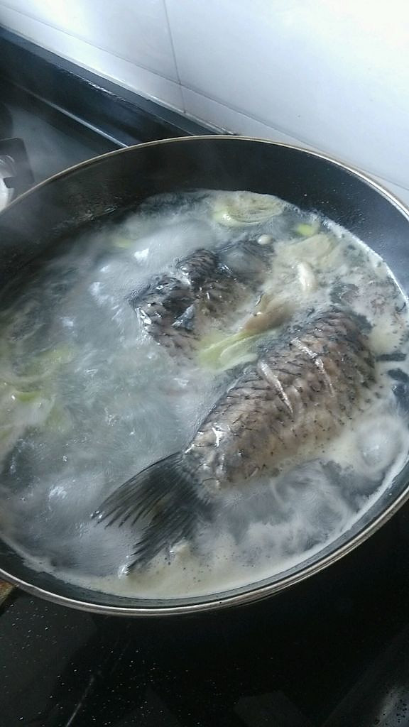 清燉鯽魚湯，最簡單的做法，美味與健康并存，清燉鯽魚湯，簡單做法，美味與健康共享