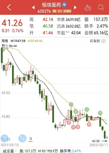 恒瑞股票，深度解析與前景展望，恒瑞股票深度剖析與未來前景展望