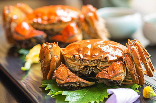 大閘蟹，美味佳肴與生態(tài)價值的完美結(jié)合，大閘蟹，美味與生態(tài)價值的雙重盛宴