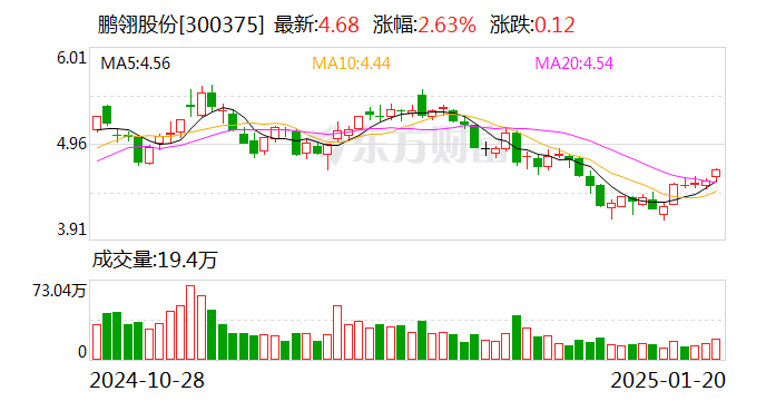 探究鵬翎股份，解碼300375背后的成長邏輯，解碼鵬翎股份成長邏輯，探究股票代碼300375背后的力量