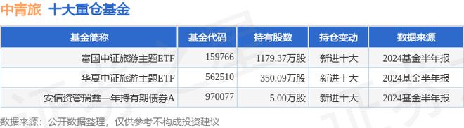 探究中青旅，一家多元化發(fā)展的旅游巨頭——600138，中青旅探究，多元化發(fā)展的旅游巨頭揭秘——股票代碼600138