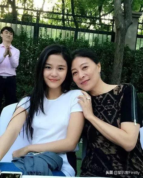 岳紅主演電視劇的魅力，演技與角色的完美融合，岳紅主演電視劇，演技與角色的完美融合之魅力展現(xiàn)