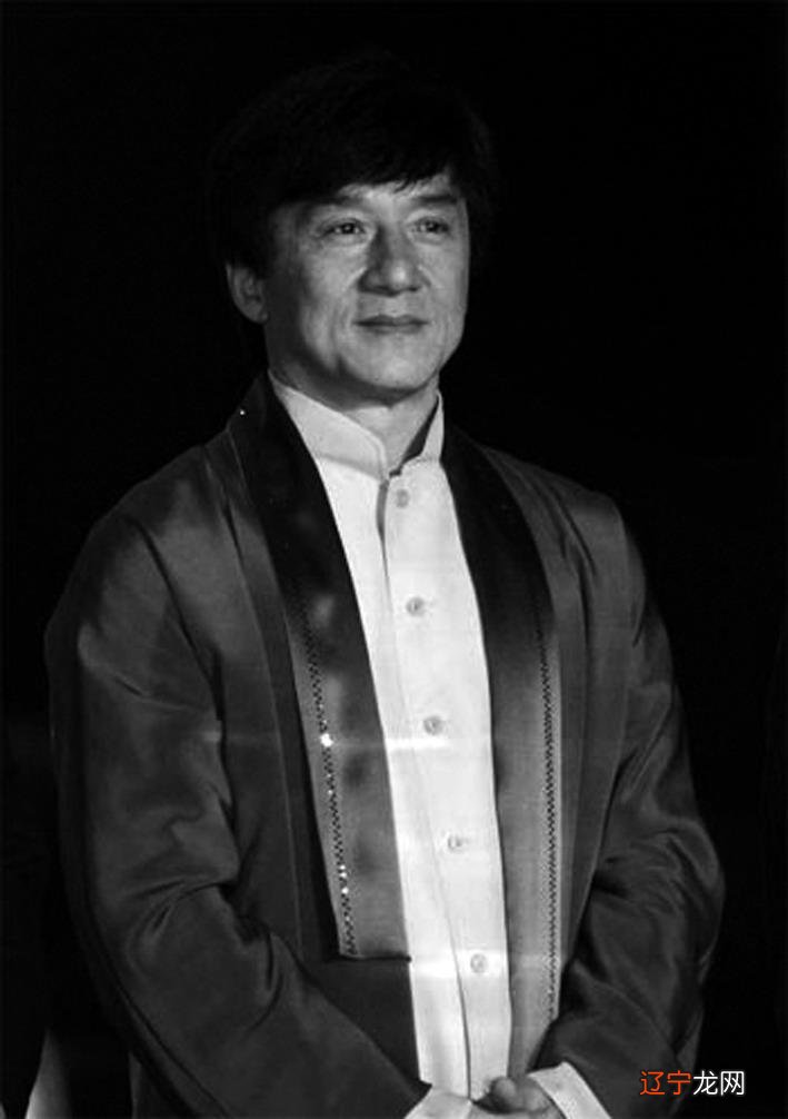 成龍個(gè)人資料簡介詳解，成龍個(gè)人資料詳解，生平、成就與傳奇經(jīng)歷