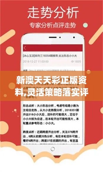 新澳天天開獎資料詳解，新澳天天開獎資料全面解析