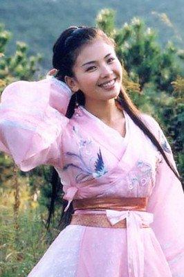 胡軍版天龍八部演員表深度解析，胡軍版天龍八部演員陣容深度解析
