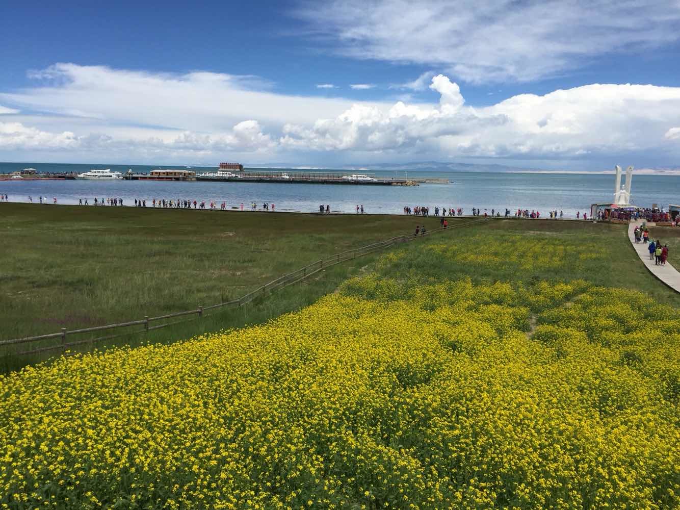 從西寧出發(fā)，青海湖一日游攻略，青海湖一日游攻略，從西寧出發(fā)的青海湖探秘之旅