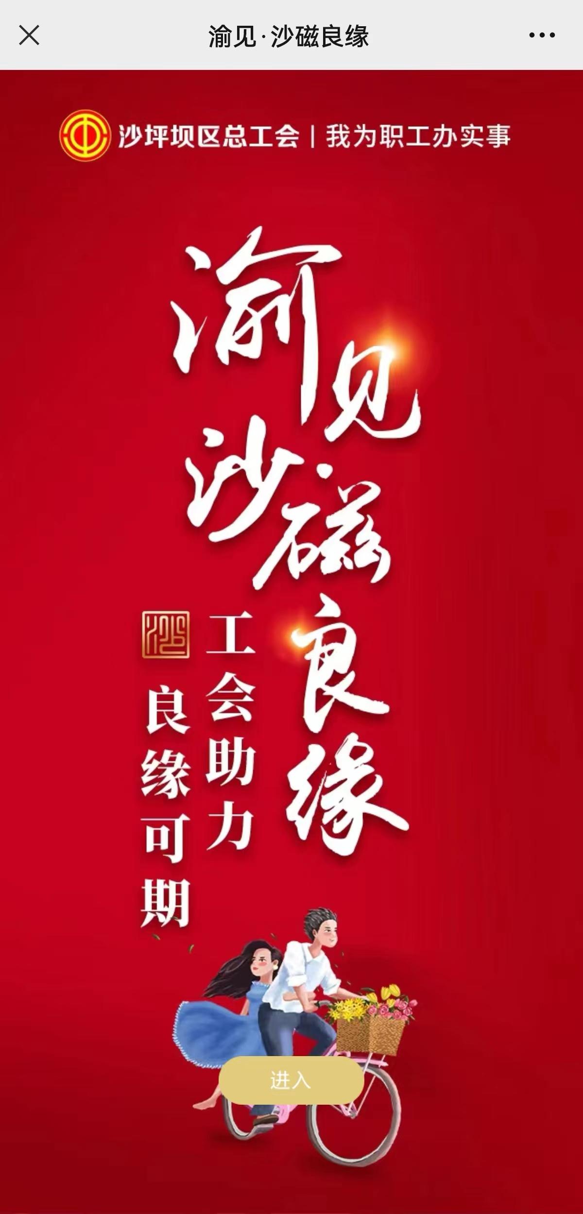 正規(guī)免費交友平臺，探索與解析，正規(guī)免費交友平臺，探索、解析與體驗